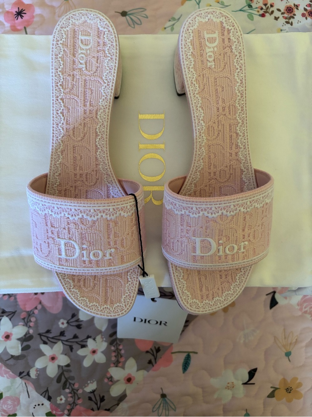 Dior Blush Pink Embroidered Slide Mules